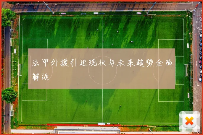 法甲外援引进现状与未来趋势全面解读