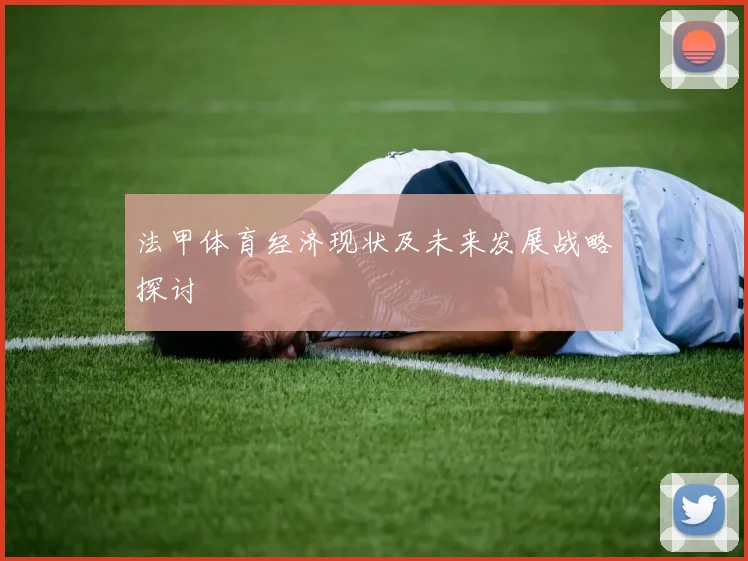 法甲体育经济现状及未来发展战略探讨
