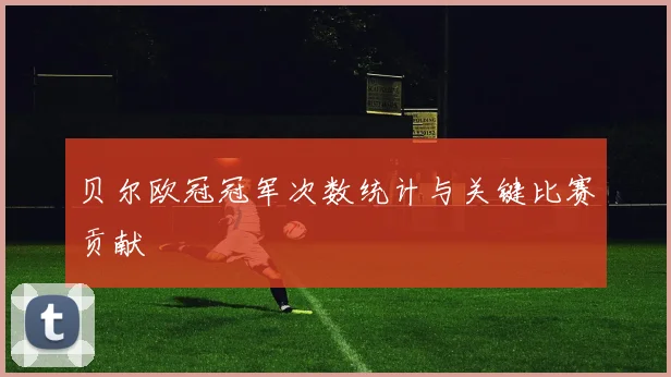 贝尔欧冠冠军次数统计与关键比赛贡献