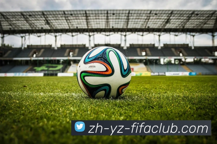 世界杯直播平台生态图