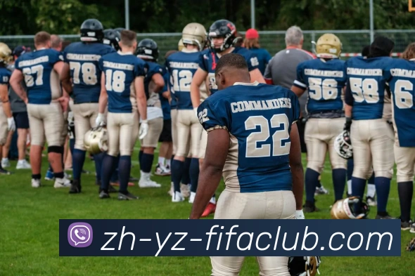 世界杯直播APP 封面图