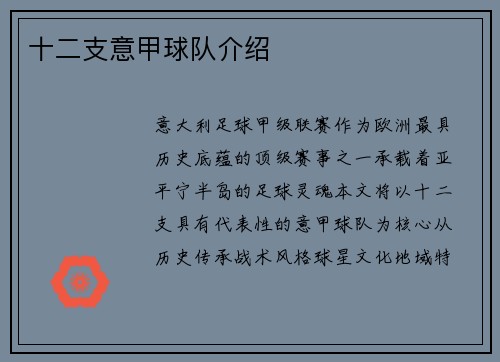 十二支意甲球队介绍